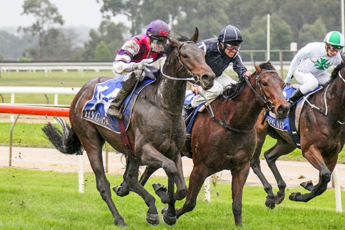 SCORPIUS WINS IMPRESSIVELY AT MOE DEBUT..